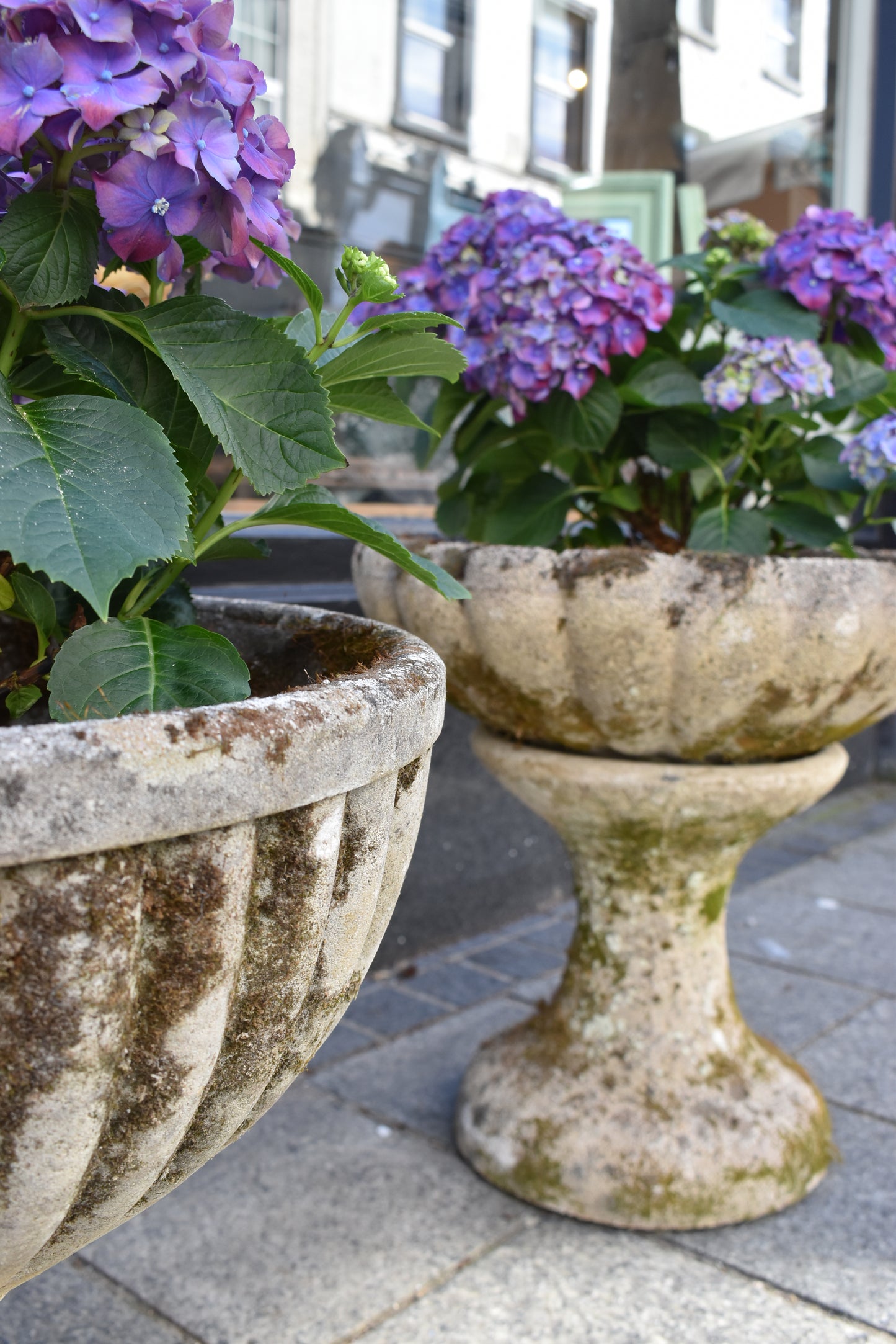 Pair of Old French Planters