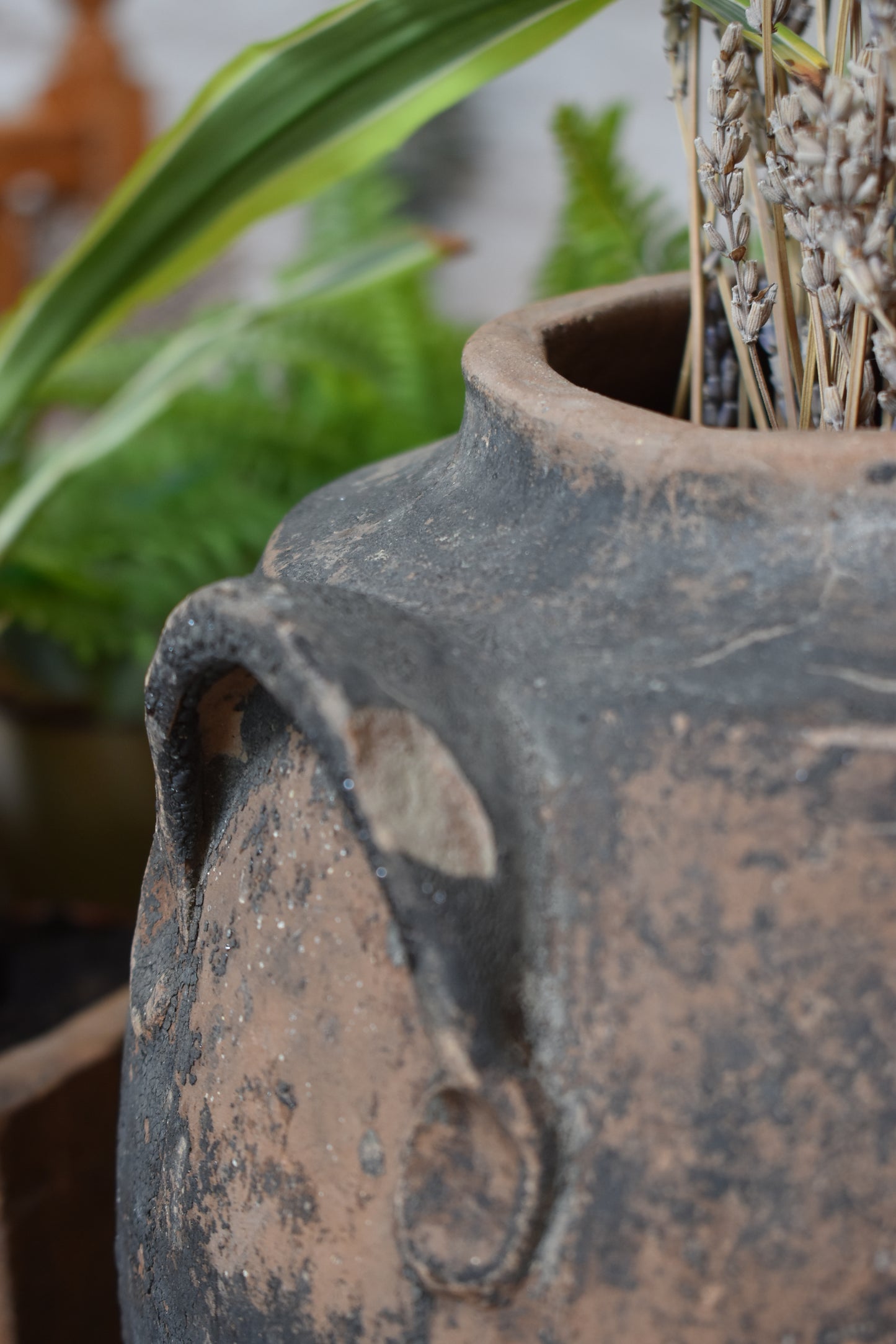 Antique French Olive Pot