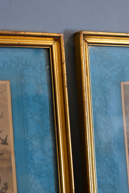 Pair of French Prints with Blue Background